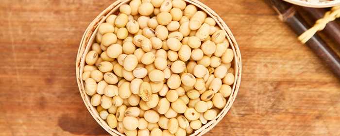 豆一和豆二合约的区别</a>